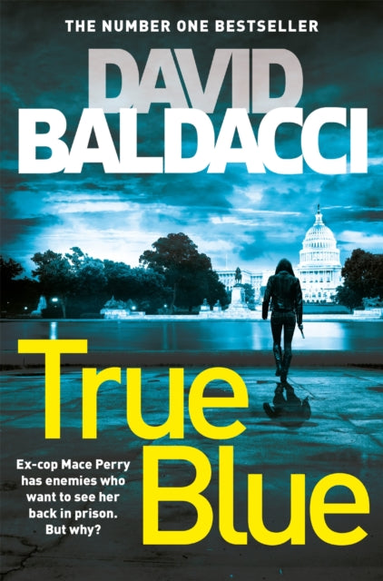 True Blue, David Baldacci