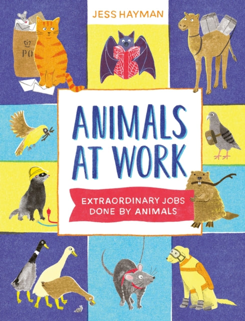 Animals At Work, Jess Hayman