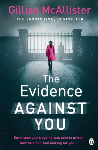 The Evidence Against You, Gillian McAllister