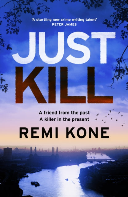 Just Kill (Leah Hutch Book 2), Remi Kone