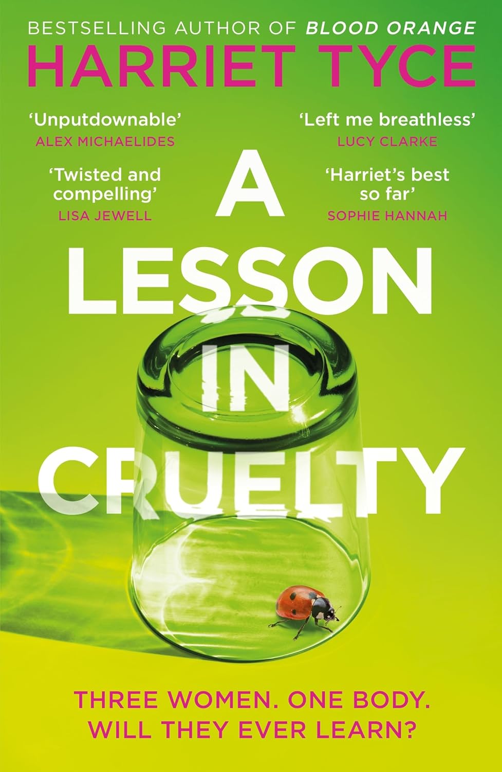 A Lesson In Cruelty, Harriet Tyce
