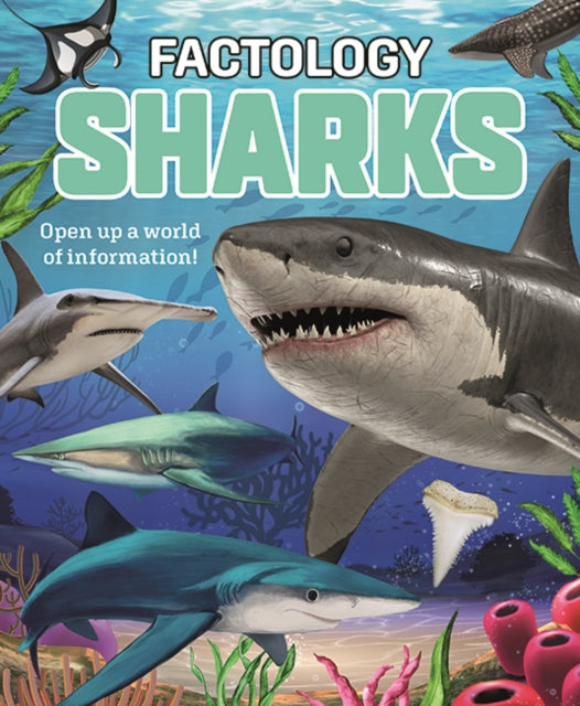 Factology: Sharks : Open Up a World of Information!