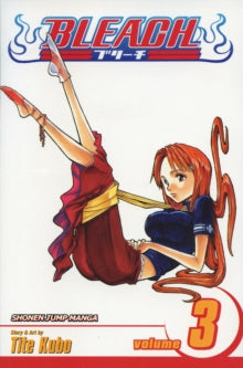 Bleach, Vol. 3 : Memories in the Rain, Tite Kobu
