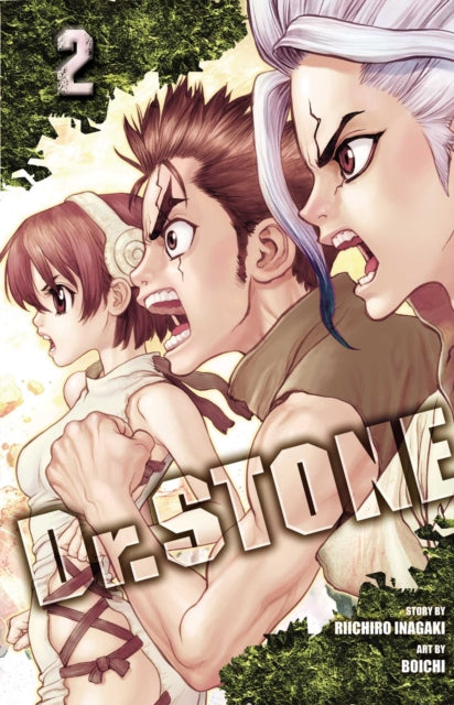 Dr. Stone, Vol. 2, Two Kingdoms Of The Stone World