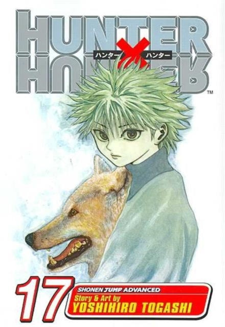Hunter x Hunter, Vol. 17 : A Fierce Three-Way Struggle, Yoshihiro Togashi