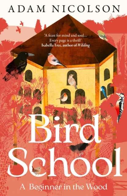 Bird School : A Beginner in the Wood, Adam Nicolson