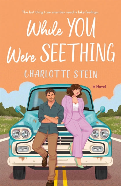 While You Were Seething, Charlotte Stein - Pre-order for publication 9th April 2026
